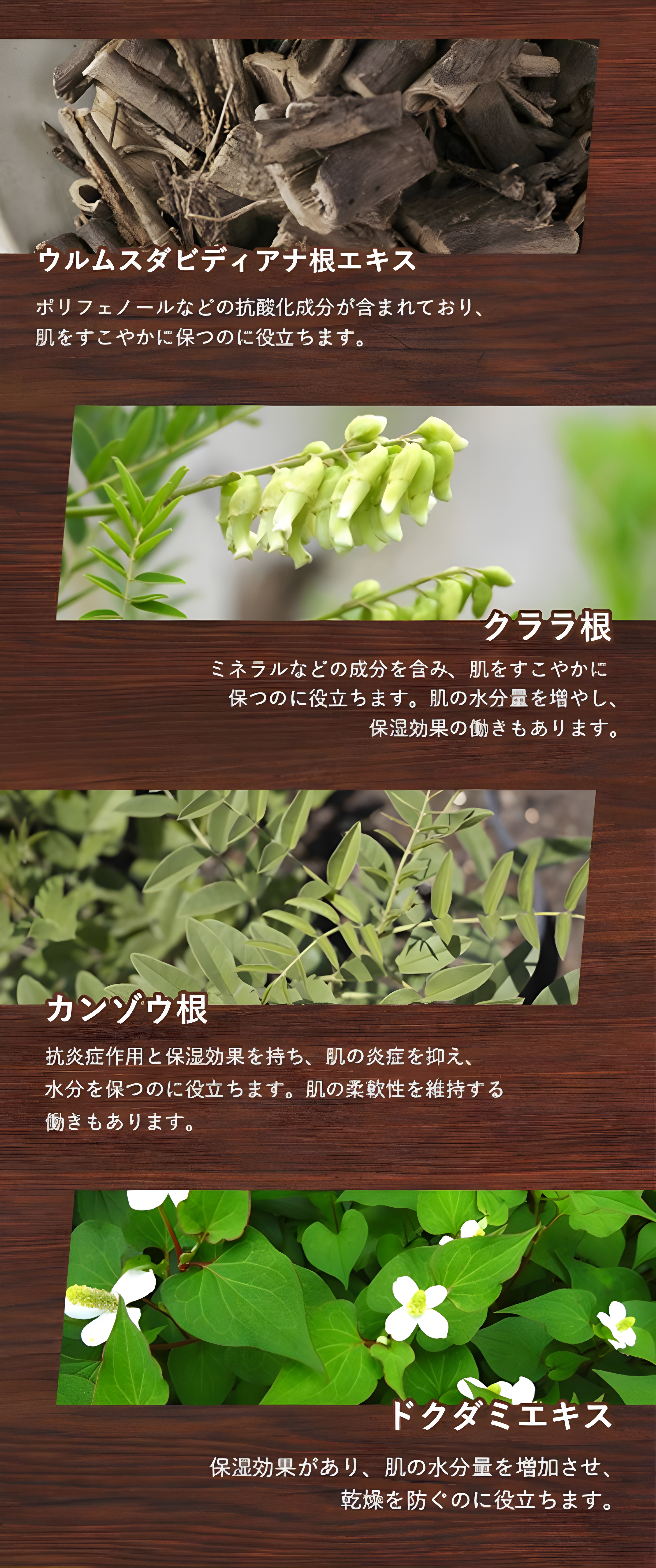 韓国の伝統医学で使用される「和漢の天然素材を使用