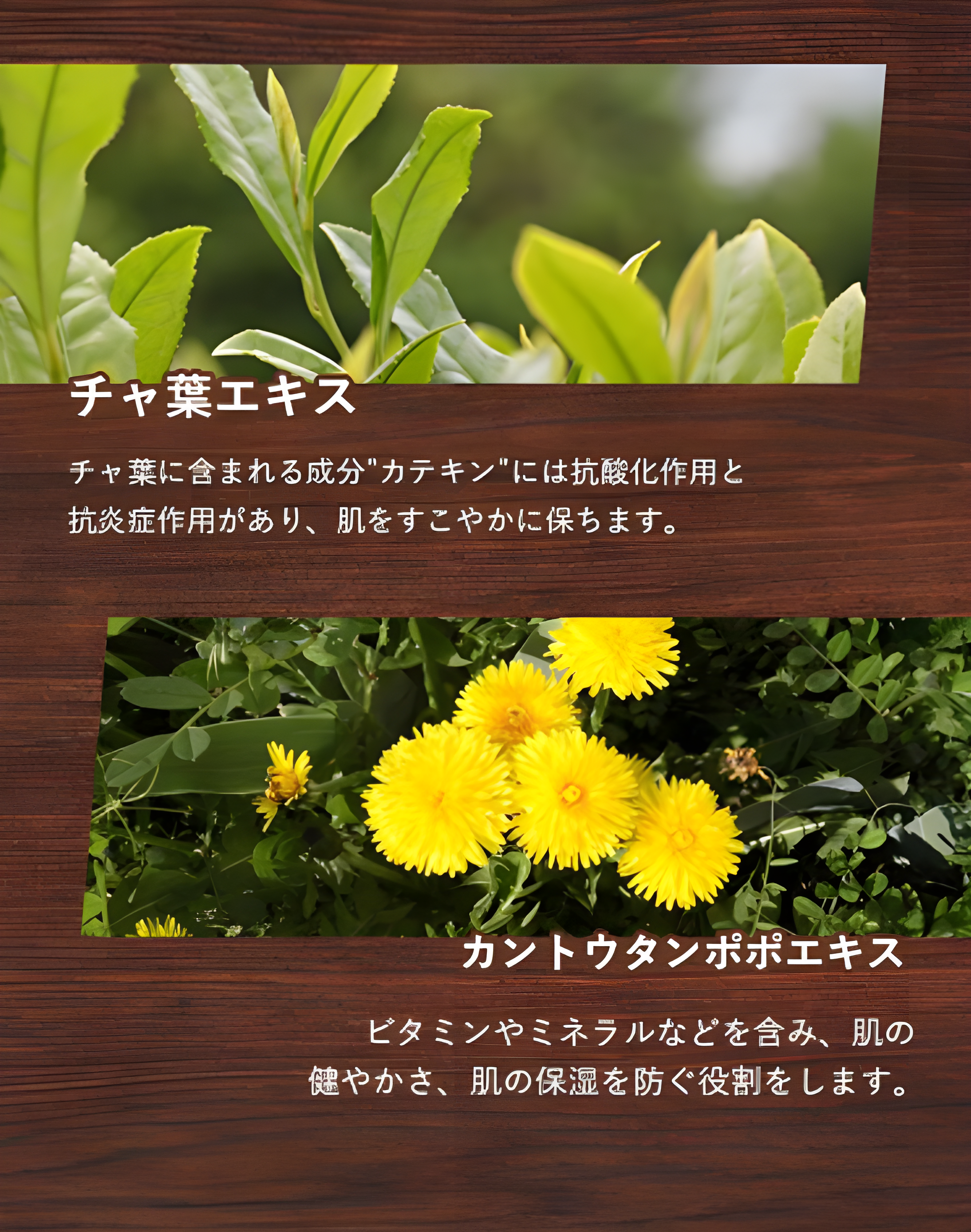 韓国の伝統医学で使用される「和漢の天然素材を使用